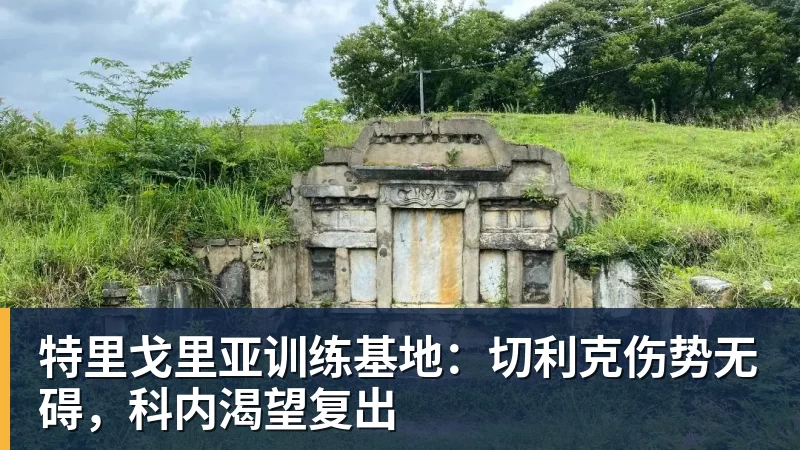 图片报：凯恩在英格兰队的训练中感到脚部不适，因此中途退出 - 米兰app官方端网站 - 米兰MiLan(中国)